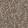 Ferns 7793